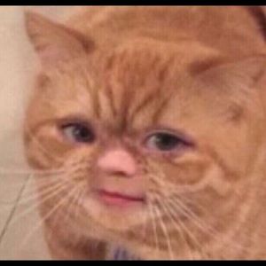 Meet your Posher, Caden